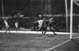 Brian Stein wheels away after scoring