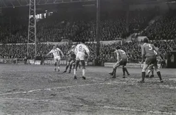 David Moss seeks out a winner