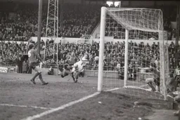 Steve White cannot find the net