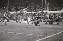 Steve White fires wide