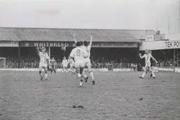 Steve White celebrates his goal