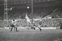 Steve White rises high