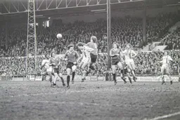 Steve White second to the ball