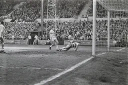 David Moss cannot find the net