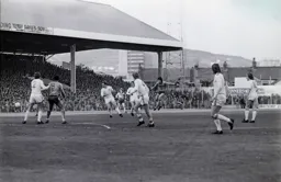 Raddy Antic bombards the Swans defence