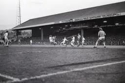 Raddy Antic strikes for goal but Moss appears to be in an offside position