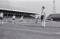 Brian Stein celebrates