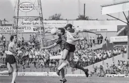 Steve White gets the ball in the face