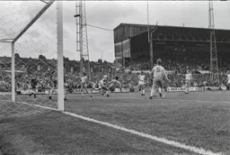 Mayhem in Sheffield box