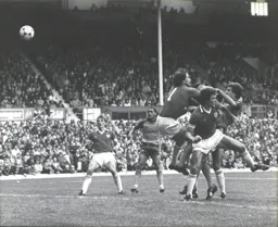 Steve White heads in the winner