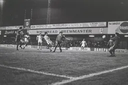 Steve White out of luck