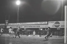 Steve White tries his luck