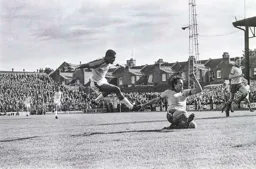 Brian Stein lets fly