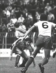 Brian Horton has the measure of the Hornets