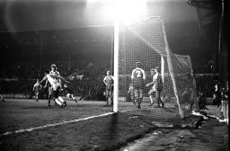 Brian Stein turns to celebrate