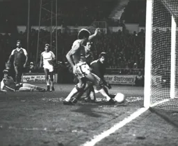 Steve White strokes in the opening goal