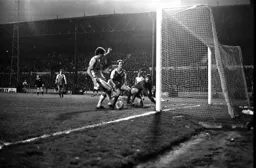 Steve White taps home