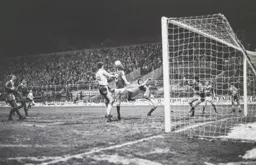 Steve White hoping to make contact with the cross