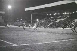 P827Steve White looking for the ball