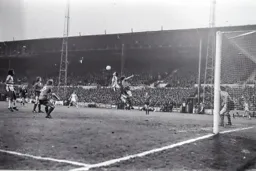 Brian Stein outjumps everybody