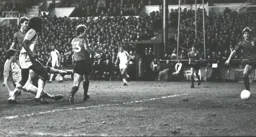 Steve White sees his shot cleared off the line