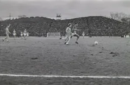 Brian Stein in attack