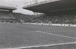 Steve White goes down the middle for the opener