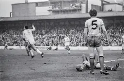 Brian Stein turns to celebrate