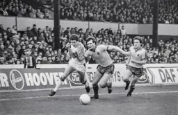 Steve White beats his marker