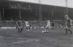 David Moss tries to add to his tally