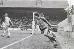 Brian Stein turns to celebrate after scoring