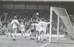 Steve White competes with the Palace keeper
