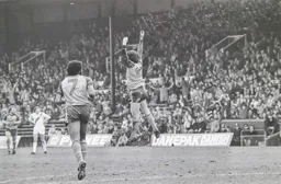 Raddy Antic celebrates