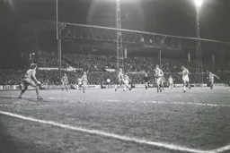 Steve White lets fly from outside the box