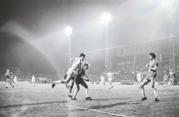 Steve White goes in hard