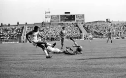 Brian Stein hits number one