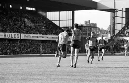 Brian Stein celebrates with his teammates