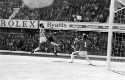 Brian Stein heads home