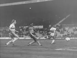 Brian Stein levels the score at 2-2