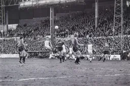 David Moss shoots from long range