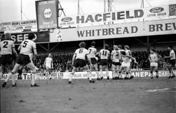 Steve White hopes the ball will penetrate the Albion wall