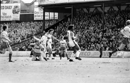 Raddy Antic looks for goal
