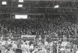 Hatters faithful