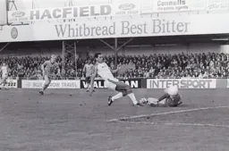 Brian Stein misses out this time