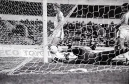 Garry Parker watches his effort get past the keeper for the first goal
