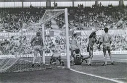 Brian Stein celebrates in vain