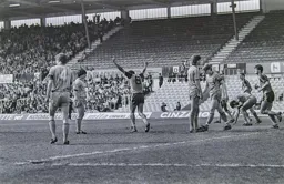 Brian Stein celebrates
