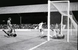 Brian Stein turns to celebrate