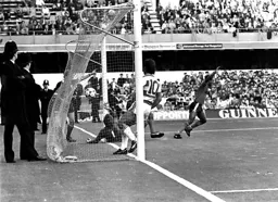 Brian Stein celebrates