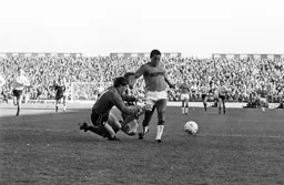 Brian Stein rounds the keeper